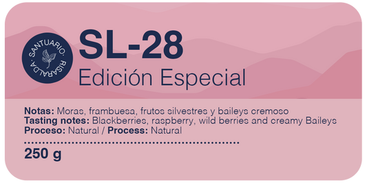 Edición Especial SL-28 Buona Vita Café - proceso natural, notas de mora, frambuesa y frutas silvestres